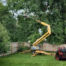 Best Tree Risk Assessment  in San Gabriel, CA